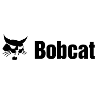 Bobcat